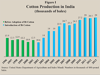 Cotton Production in India