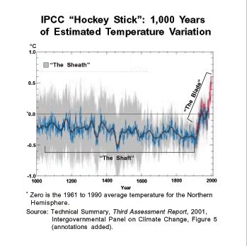 IPCC "Hocket Stick"%3A 1%2C000 Years of Estimated Temperature Variation